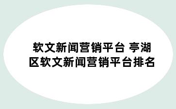 软文新闻营销平台 亭湖区软文新闻营销平台排名